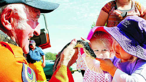 An impromptu visit by a playgroup in Grafton during the launch of Volunteer Week saw them meet reptile handler Paul Jones and his pet python, Jaclyn. An impromptu visit by a playgroup in Grafton during the launch of Volunteer Week saw them meet reptile handler Paul Jones and his pet python, Jaclyn.